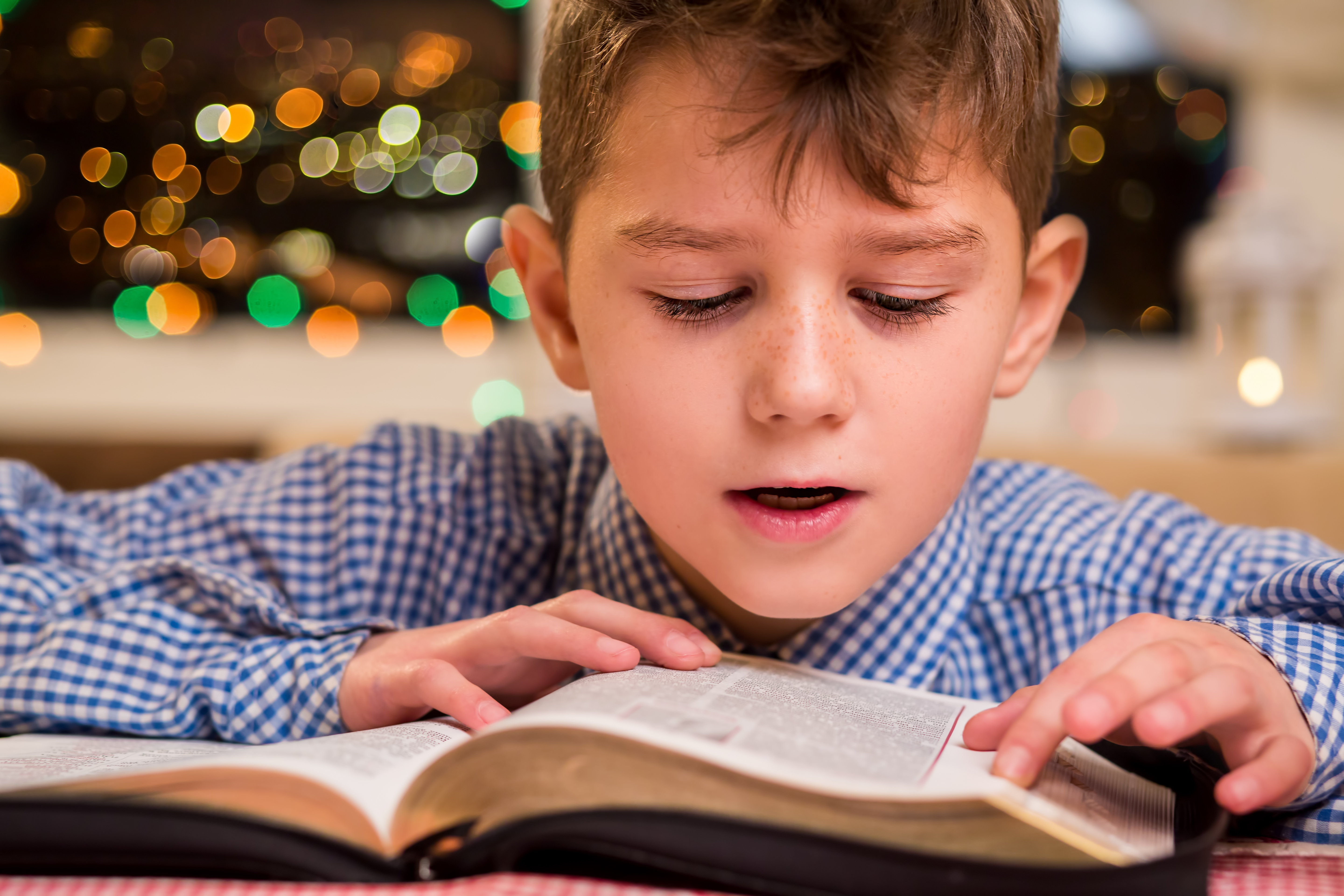 Ученик читает стихотворение. Мальчик читает вслух. Школьник читает. Ребенок читает вслух. Чтение вслух детям.